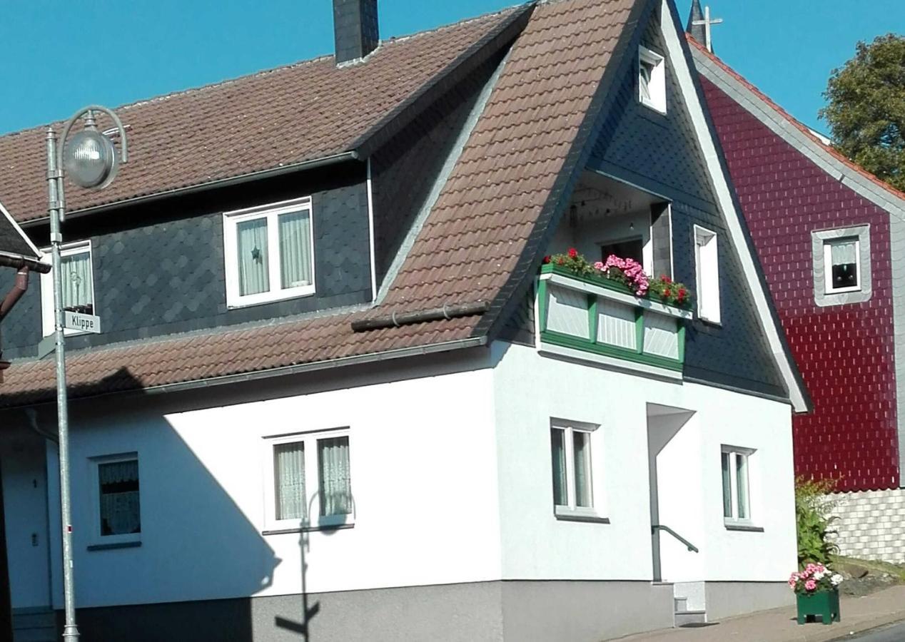 Ferienwohnung "Loni" Benneckenstein Exterior photo